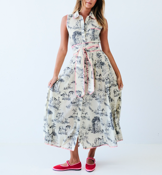 Black & Cream Toile Sleeveless Collar Panel Dress