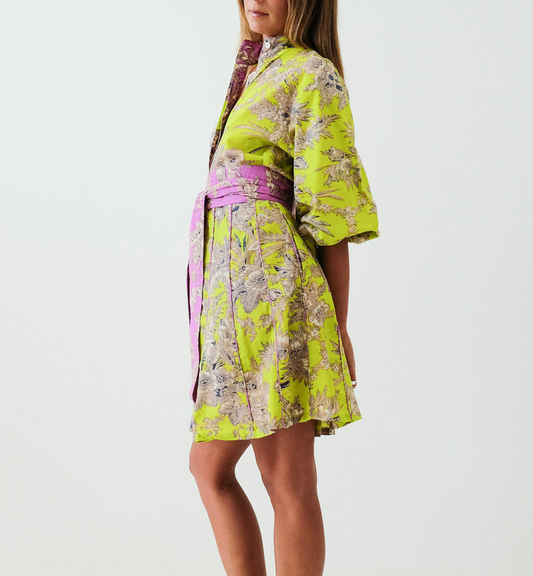 Luminous Botanica Panel Dress